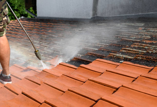 Why Choose Our Certified Pressure Washing Experts for Your Project Needs in Ayden, NC?