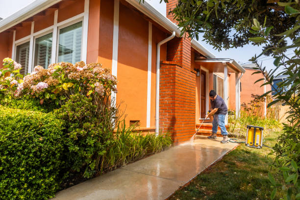 Deck Cleaning Services in Ayden, NC