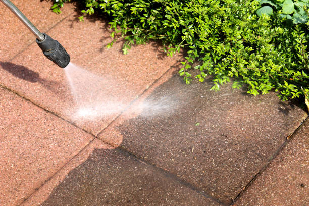 Best Fence Pressure Washing  in Ayden, NC