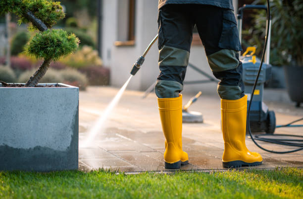 Best Power Washing Near Me  in Ayden, NC